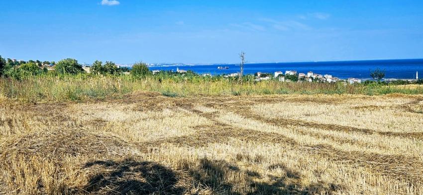 Asyaport Limanına Yakın 8.500 M2 Konut İmarlı Yüksek Kazanç Vaadi Arazi