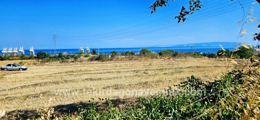 Süleymanpaşa Kumbağ Barbaros Mah. Satılık Tarla - Konut İmar Durumlu - 8.500 m²