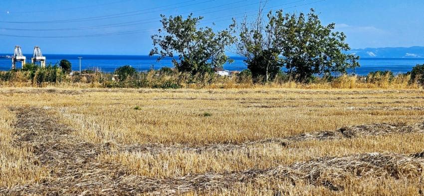 Asyaport Limanına Yakın 8.500 M2 Konut İmarlı Yüksek Kazanç Vaadi Arazi