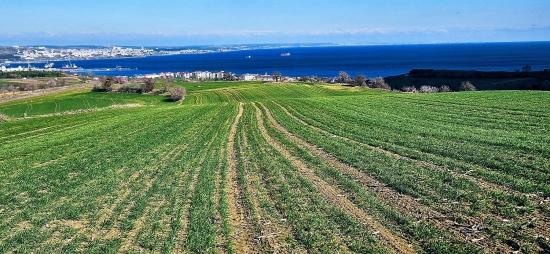Tekirdağ Barbarosta 75 Adet Villa Projesine Uygun Full Deniz Ve Doğa Manzaralı Arazi