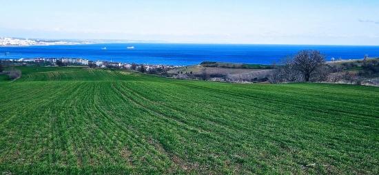 Tekirdağ Barbarosta 75 Adet Villa Projesine Uygun Full Deniz Ve Doğa Manzaralı Arazi