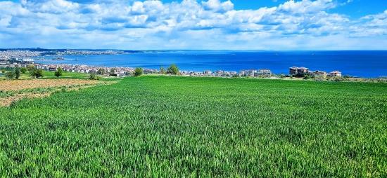 Kooparetif Ve Site Yapımına Uygun 44 Dairelik 2+1 Daire Yapma İmkanı Full Deniz Manzaralı
