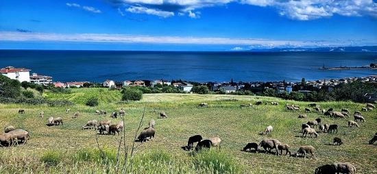 Eşsiz Full Deniz Ve Doğa Manzaralı 15 Adet Lüxs Villa Projeye Uygun Yer