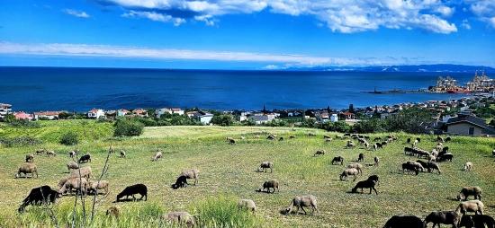 Eşsiz Full Deniz Ve Doğa Manzaralı 15 Adet Lüxs Villa Projeye Uygun Yer