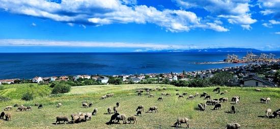 Eşsiz Full Deniz Ve Doğa Manzaralı 15 Adet Lüxs Villa Projeye Uygun Yer