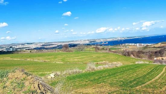 Tekirdağ Barbarosta Full Deniz Ve Doğa Manzaralı 8 Adet Villa Projesine Uygun Arazi