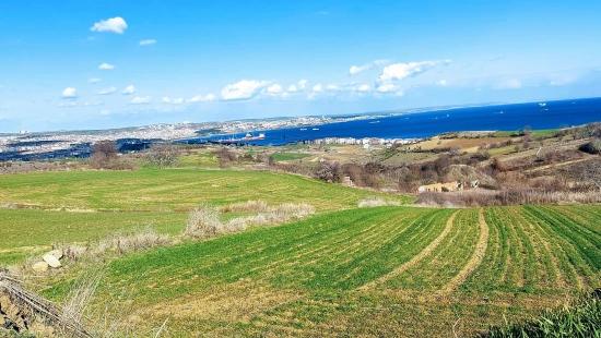 Tekirdağ Barbarosta Full Deniz Ve Doğa Manzaralı 8 Adet Villa Projesine Uygun Arazi
