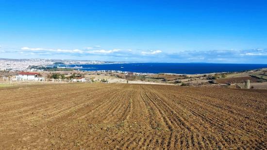 Tekirdağ Barbaros'ta Panoramik Deniz ve Şehir Manzaralı Arsa