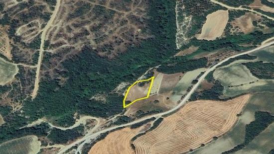 Müstakil Parsel Tek Tapu Hisseli Değil Köy İmar Sınırına Çok Yakın Acil Satılık Fırsat Ara