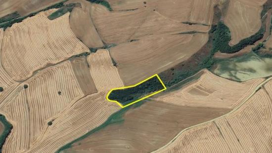 Tekirdağ Oruç Beyli Mahallesindekaçırılmayacak Yatırım Fırsatı 8.100 M2 Kelepir Tarla