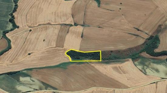 Tekirdağ Oruç Beyli Mahallesindekaçırılmayacak Yatırım Fırsatı 8.100 M2 Kelepir Tarla