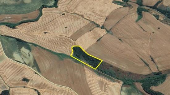 Tekirdağ Oruç Beyli Mahallesindekaçırılmayacak Yatırım Fırsatı 8.100 M2 Kelepir Tarla