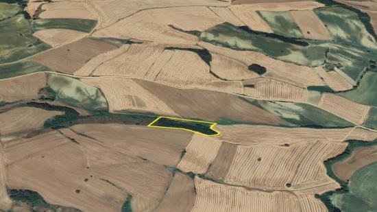 Tekirdağ Oruç Beyli Mahallesindekaçırılmayacak Yatırım Fırsatı 8.100 M2 Kelepir Tarla
