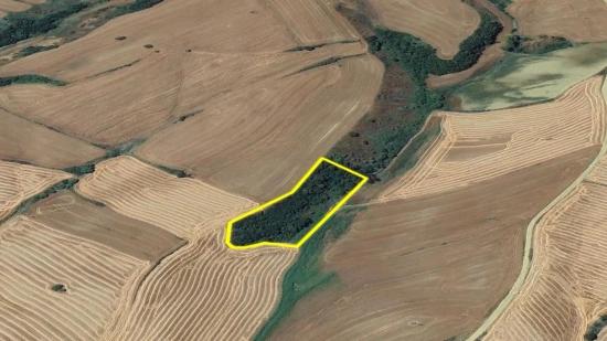 Tekirdağ Oruç Beyli Mahallesindekaçırılmayacak Yatırım Fırsatı 8.100 M2 Kelepir Tarla