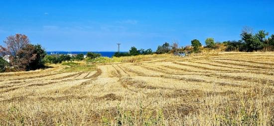 Asyaport Limanına Yakın 615 M2 Kelepir Köşe Arsa