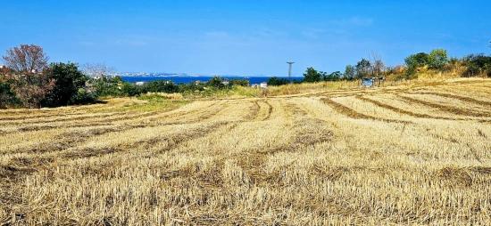 Asyaport Limanına Yakın 615 M2 Kelepir Köşe Arsa