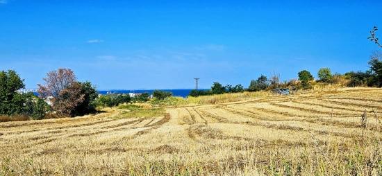 Asyaport Limanına Yakın 615 M2 Kelepir Köşe Arsa