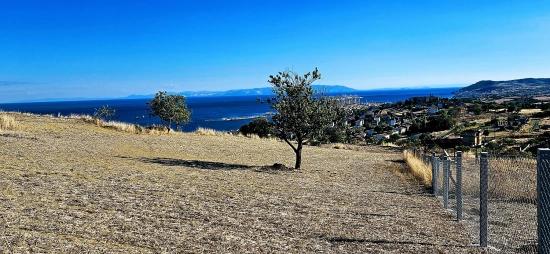 Al-sat Yapmak İsteyenler İçin Yüksek Kazanç Garantisi Nakit İhtiyacından Dolayı Acil Satıl