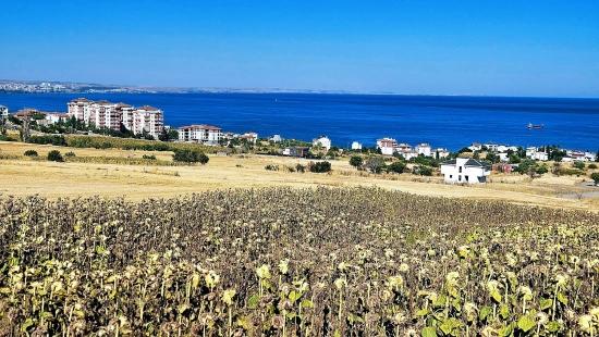 **full Deniz Manzaralı** İster Müstakil Evini Yap** İstersen 6 Adet 2+1 Daire Yap