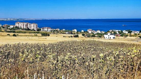 **full Deniz Manzaralı** İster Müstakil Evini Yap** İstersen 6 Adet 2+1 Daire Yap