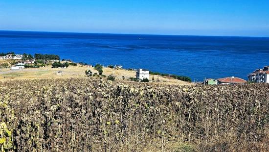 **full Deniz Manzaralı** İster Müstakil Evini Yap** İstersen 6 Adet 2+1 Daire Yap