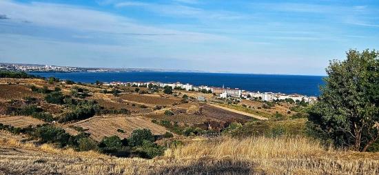 Tekirdağ Topağaç Mahallesinde Full Deniz Manzarlı 1.150 M2 Kelepir Yer