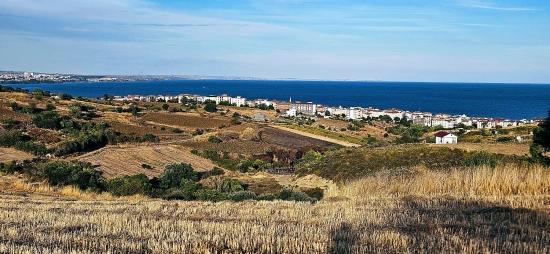 Tekirdağ Topağaç Mahallesinde Full Deniz Manzarlı 1.150 M2 Kelepir Yer