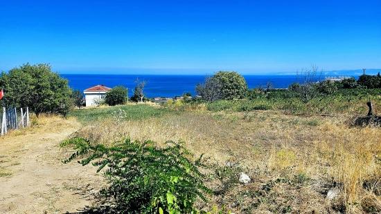 Tekirdağ Barbarosta 4 Taraf Yol Cephe Altyapı Hazır Kooparetif Ve Site Yapımına Uygun Yer
