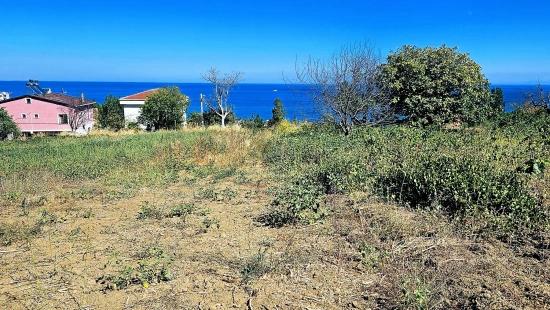 Tekirdağ Barbarosta 4 Taraf Yol Cephe Altyapı Hazır Kooparetif Ve Site Yapımına Uygun Yer