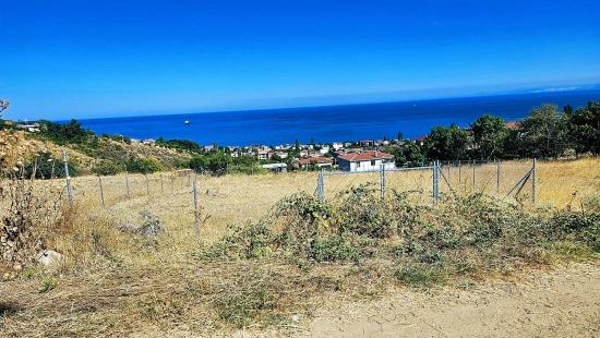 Tekirdağ Barbarosta 4 Taraf Yol Cephe Altyapı Hazır Kooparetif Ve Site Yapımına Uygun Yer