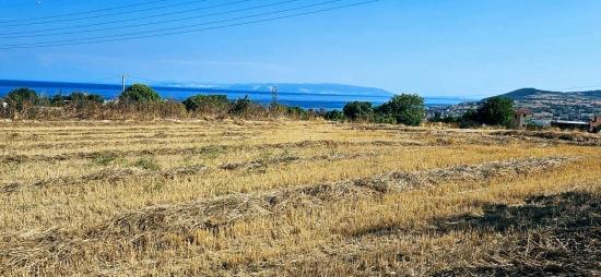 Asyaport Limanına Yakın 8.500 M2 Konut İmarlı Yüksek Kazanç Vaadi Arazi