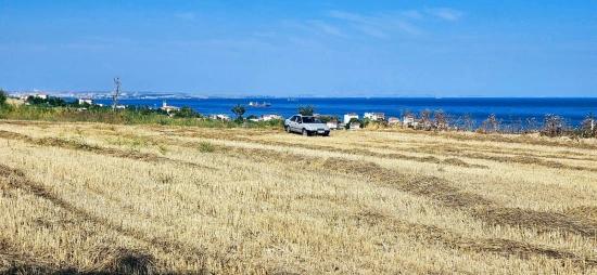 Asyaport Limanına Yakın 8.500 M2 Konut İmarlı Yüksek Kazanç Vaadi Arazi