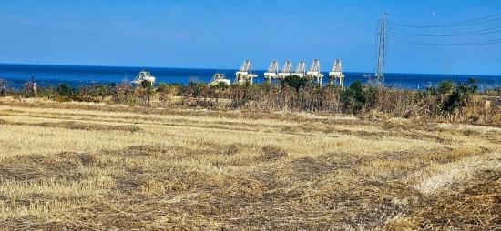 Asyaport Limanına Yakın 8.500 M2 Konut İmarlı Yüksek Kazanç Vaadi Arazi