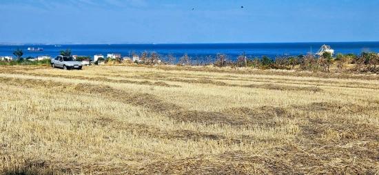 Asyaport Limanına Yakın 8.500 M2 Konut İmarlı Yüksek Kazanç Vaadi Arazi