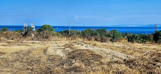Asyaport Limanına Yakın 8.500 M2 Konut İmarlı Yüksek Kazanç Vaadi Arazi