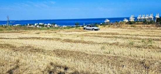 Asyaport Limanına Yakın 8.500 M2 Konut İmarlı Yüksek Kazanç Vaadi Arazi