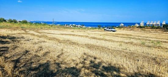 Asyaport Limanına Yakın 8.500 M2 Konut İmarlı Yüksek Kazanç Vaadi Arazi