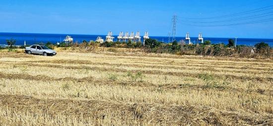 Asyaport Limanına Yakın 8.500 M2 Konut İmarlı Yüksek Kazanç Vaadi Arazi