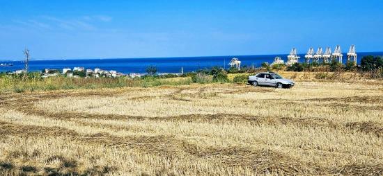 Asyaport Limanına Yakın 8.500 M2 Konut İmarlı Yüksek Kazanç Vaadi Arazi