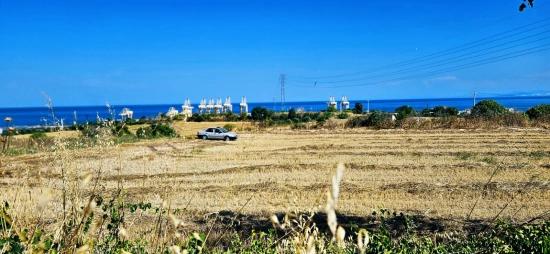 Asyaport Limanına Yakın 8.500 M2 Konut İmarlı Yüksek Kazanç Vaadi Arazi