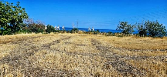 Asyaport Limanına Yakın 8.500 M2 Konut İmarlı Yüksek Kazanç Vaadi Arazi