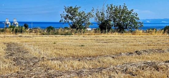 Asyaport Limanına Yakın 8.500 M2 Konut İmarlı Yüksek Kazanç Vaadi Arazi