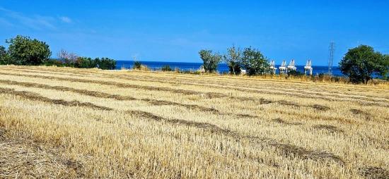 Asyaport Limanına Yakın 8.500 M2 Konut İmarlı Yüksek Kazanç Vaadi Arazi