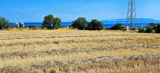 Asyaport Limanına Yakın 8.500 M2 Konut İmarlı Yüksek Kazanç Vaadi Arazi