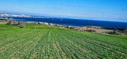 Tekirdağ Barbarosta 75 Adet Villa Projesine Uygun Full Deniz Ve Doğa Manzaralı Arazi