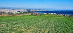 Tekirdağ Barbarosta 75 Adet Villa Projesine Uygun Full Deniz Ve Doğa Manzaralı Arazi