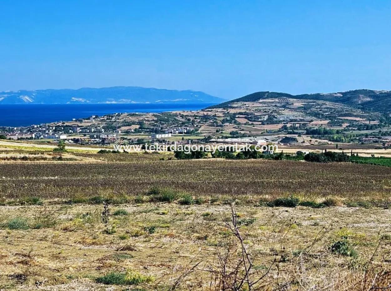 Asyaport Limanı Mevcut İmar Planı İçinde ( Ticari & Sanai ) Alanı Bölgedinde Acil Satılık 6.400 M2 Yatırım Fırsatı