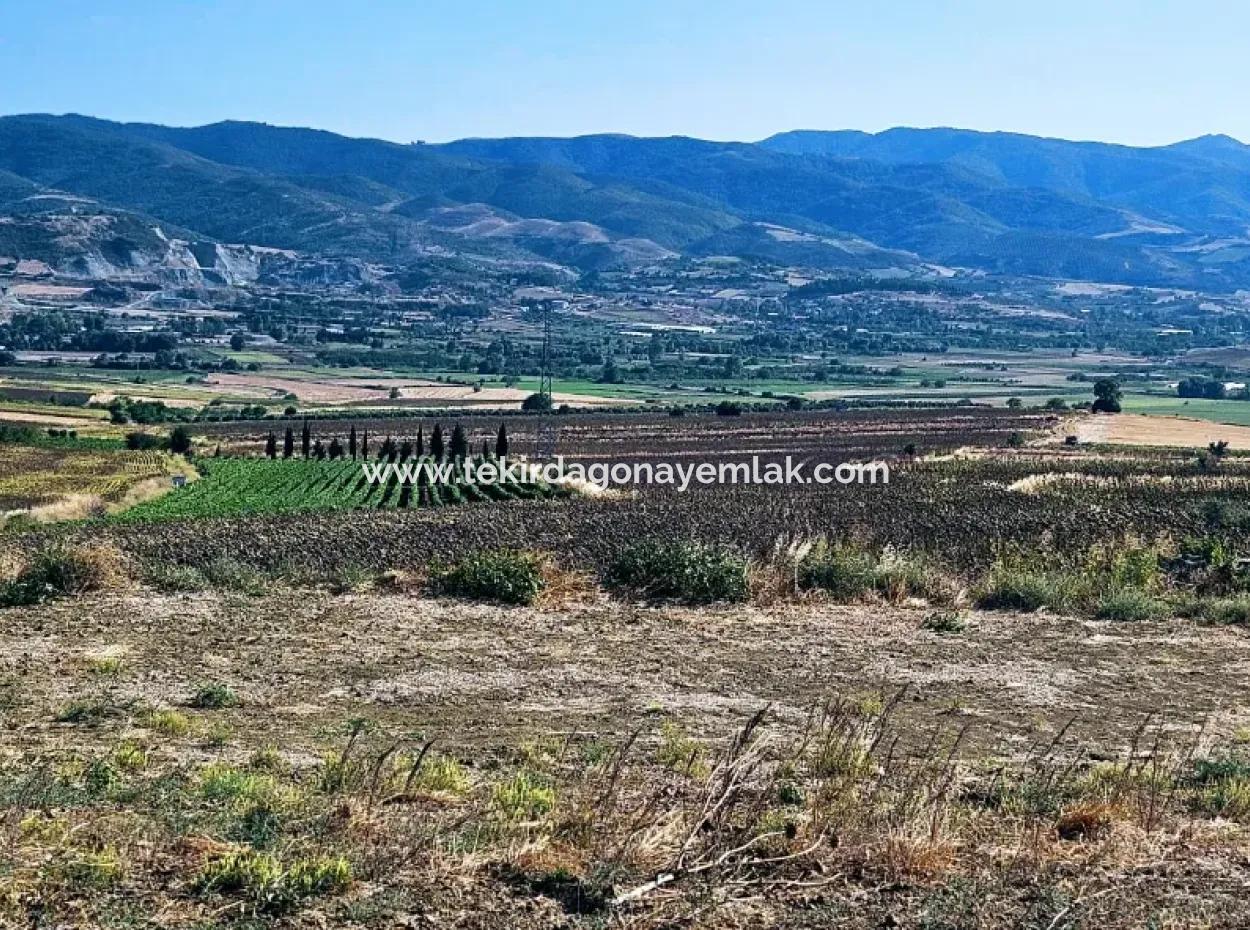 Asyaport Limanı Mevcut İmar Planı İçinde ( Ticari & Sanai ) Alanı Bölgedinde Acil Satılık 6.400 M2 Yatırım Fırsatı