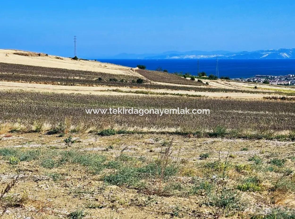 Asyaport Limanı Mevcut İmar Planı İçinde ( Ticari & Sanai ) Alanı Bölgedinde Acil Satılık 6.400 M2 Yatırım Fırsatı