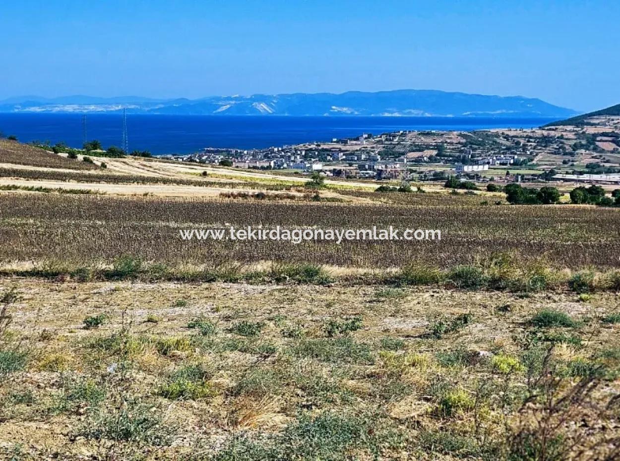 Asyaport Limanı Mevcut İmar Planı İçinde ( Ticari & Sanai ) Alanı Bölgedinde Acil Satılık 6.400 M2 Yatırım Fırsatı